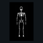 Poster - X-Ray Vision Single Skeleton Black White<br><div class="desc">X-Ray Vision Single Skeleton Black White Haute qualité, hautement collectible et facile à customiser conception de squelette de type rayon X. Un design moderne et éffrayant Halloween & style gothique fait spécialement pour tous les gens dans l'art étrange là-bas! Ce modèle X-Ray Single Éffrayant Skeleton de Galleria Voxeed's X-ray Vision...</div>