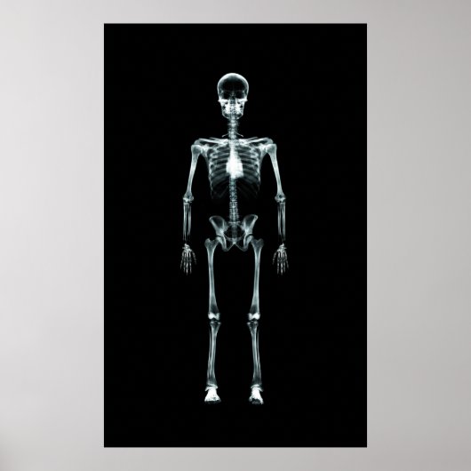 Poster - X-Ray Vision Single Skeleton Origineel (Voorkant)