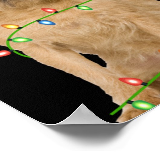 Poster Xmas Lights Santa Hat Brussels Griffon Dog Christm (Coin)