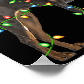 Poster Xmas Lights Santa Hat Doberman Nscher Dog Christ  (Coin)