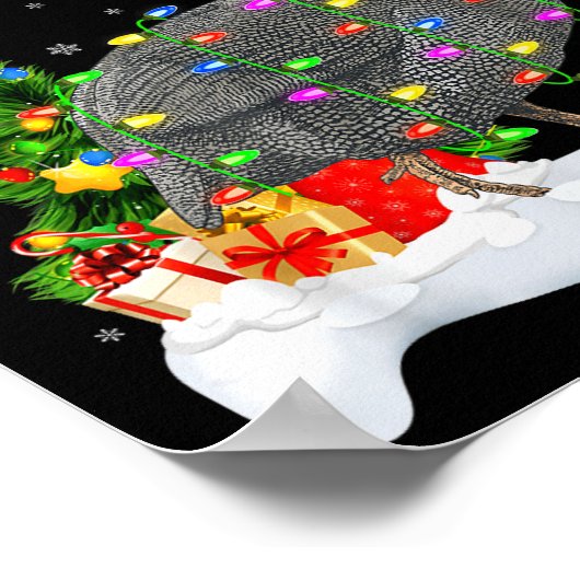 Poster Xmas Lights Tree Santa Guinea Fowl Bird Merry Chri (Coin)