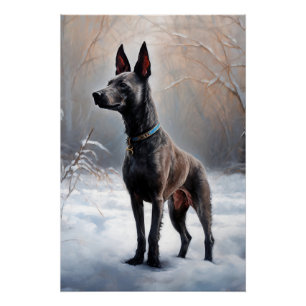 Poster Xoloitzcuintli Laisser neiger Noël