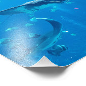 Poster #Y020 de petite taille/moyenne sur la photo (Coin)