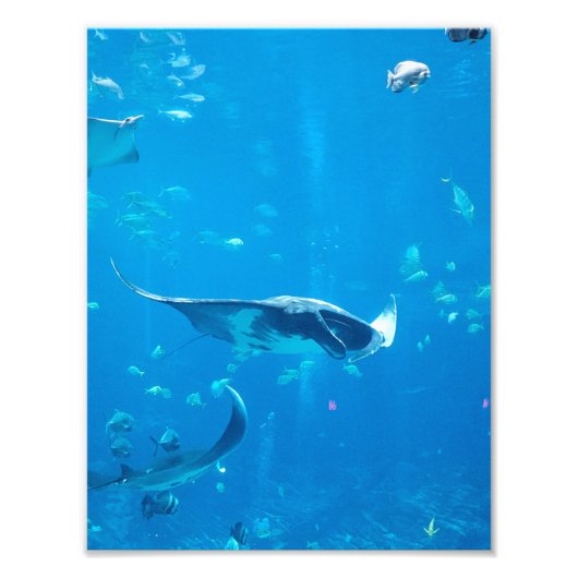 Poster #Y020 de petite taille/moyenne sur la photo (Devant)