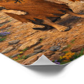 Poster "Yabba, Dabba!" (Coin)