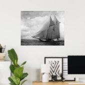 Poster Yacht America c1910 (Bureau à domicile)