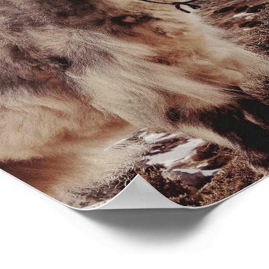 Poster Yakety Yak (Coin)