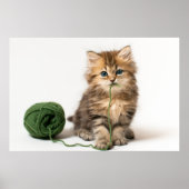 Poster Yarn vert de Kitten (Devant)