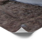 Poster Yawn ! (Coin)