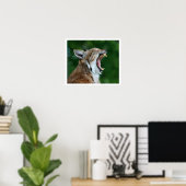 Poster Yawning Bobcat (Bureau à domicile)