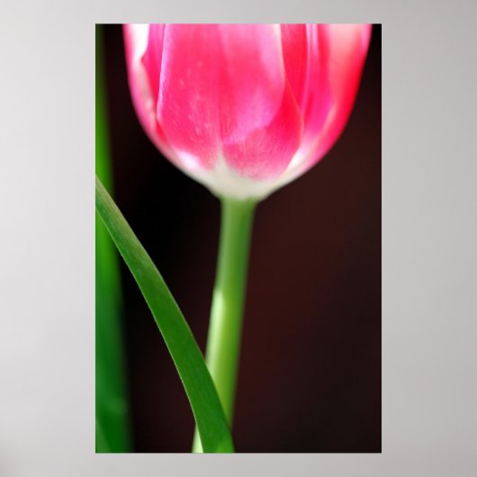 Poster Yearning (Devant)