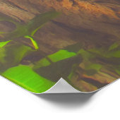 Poster Yelapa 1017 Art Print (Coin)