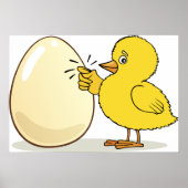 Poster Yellow Chick And Egg (Devant)