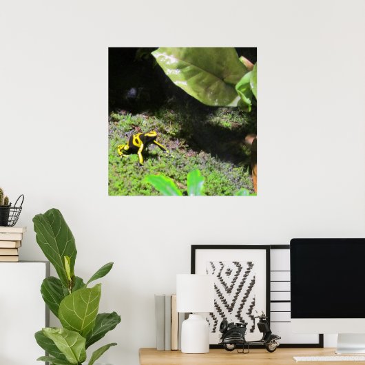 Poster Yellow Dart Frog (Bureau à domicile)