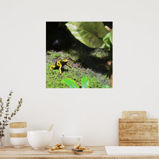Poster Yellow Dart Frog (Cuisine)