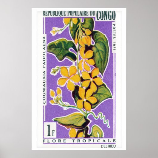 Poster Yellow Flower Bunch - Vintage Congo Art - Postage (Devant)