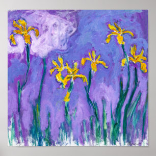 Poster Yellow Irises with Pink Cloud   Claude Monet   