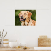 Poster Yellow Labrador Retriever Dog - Lab (Cuisine)
