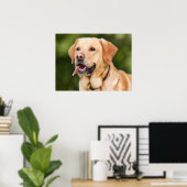 Poster Yellow Labrador Retriever Dog - Lab (Bureau à domicile)