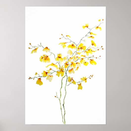 Poster yellow Oncidium Orchid watercolor (Devant)