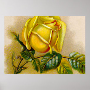 Poster Yellow Rose Artwork