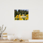 Poster Yellow Tulips from Arboretum Volcji Potok Slovenia (Cuisine)