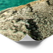 Poster Yellowstone (Coin)