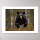 Poster Yellowstone Bear (Devant)