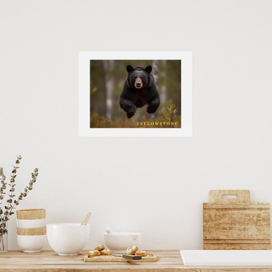 Poster Yellowstone Black Bear (Cuisine)