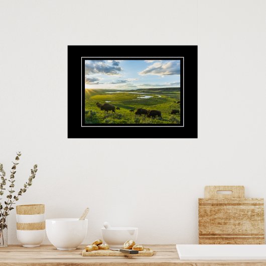Poster Yellowstone Buffalo (Keuken)
