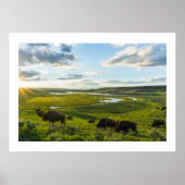 Poster Yellowstone Buffalo (Voorkant)