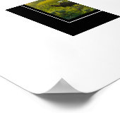 Poster Yellowstone Buffalo (Hoek)