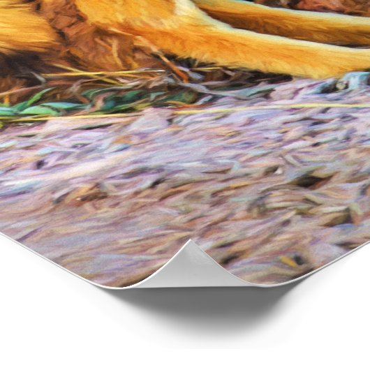 Poster Yellowstone Coyote (Coin)