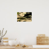 Poster Yellowstone Cutthroat Trout School (Cuisine)