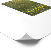 Poster Yellowstone Elk (Hoek)