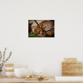 Poster Yellowstone Elk (Cuisine)