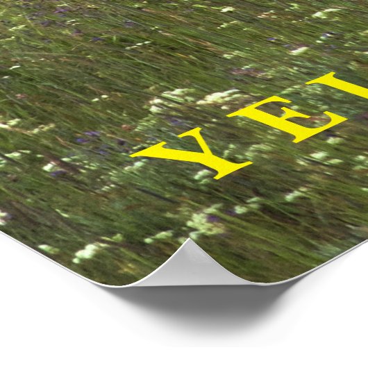 Poster Yellowstone Elk (Coin)