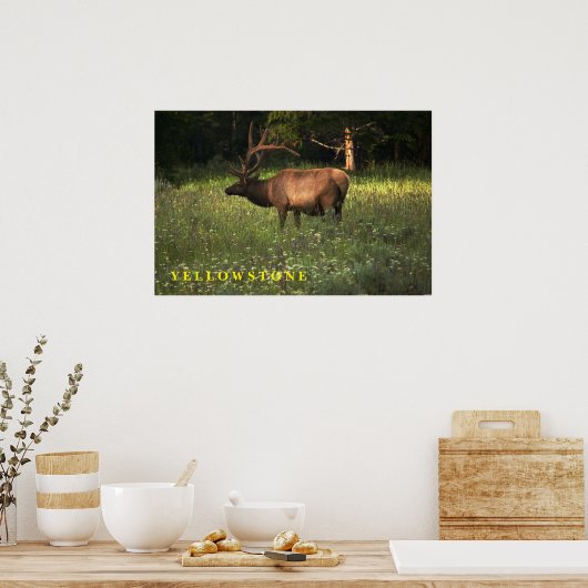 Poster Yellowstone Elk (Cuisine)