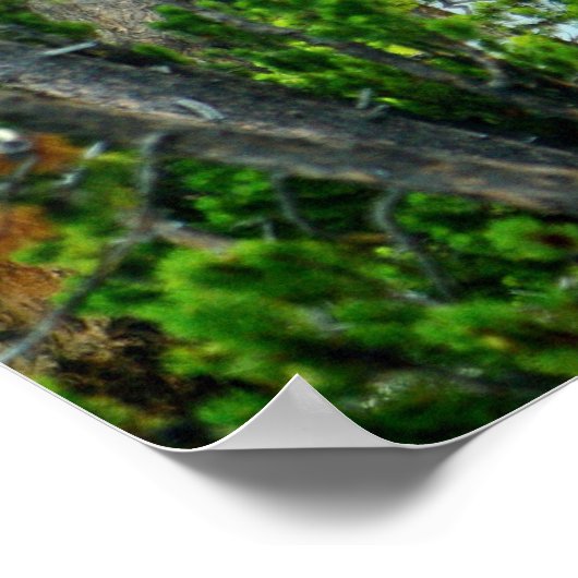 Poster Yellowstone Falls (Coin)