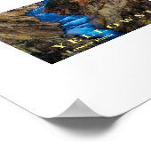 Poster Yellowstone Falls (Coin)