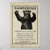 Poster Yellowstone Park 1959 Ours dangereux (Devant)