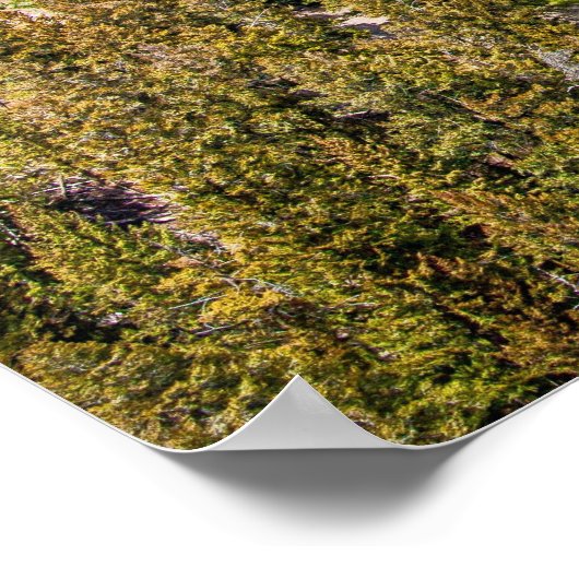 Poster Yellowstone River Canyon (Coin)