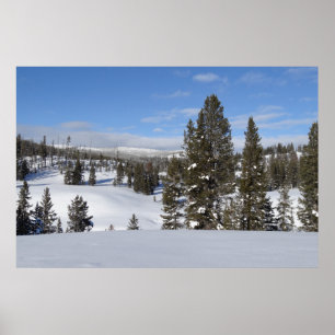 Poster Yellowstone Winter Landscape Photographie