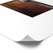 Poster Yellowstone Wolf (Coin)