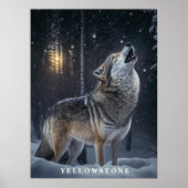Poster Yellowstone Wolf (Devant)