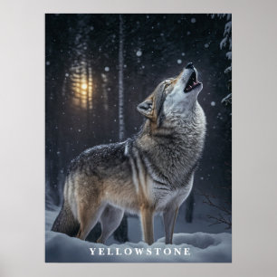 Poster Yellowstone Wolf