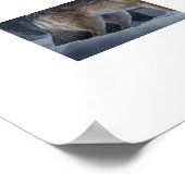 Poster Yellowstone Wolf (Coin)