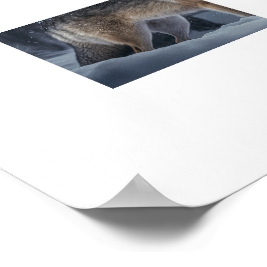 Poster Yellowstone Wolf (Coin)