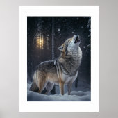 Poster Yellowstone Wolf (Devant)