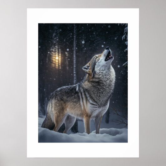 Poster Yellowstone Wolf (Devant)